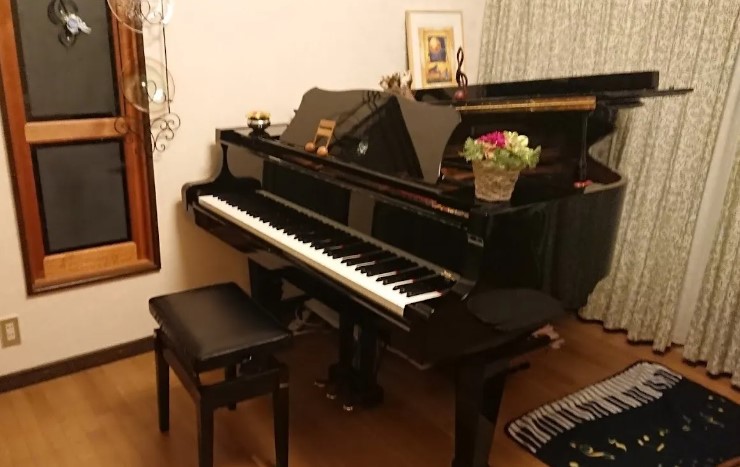ピアノ教室、音楽教室（楽器・...