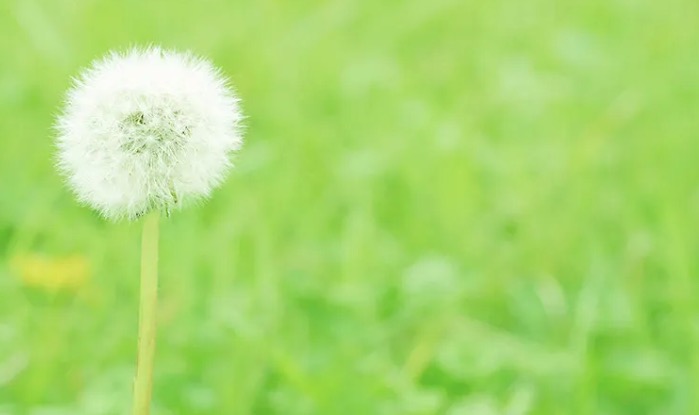 町の好きなところ（お得、便利...