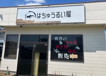 ペットショップ！オススメを教えて！
