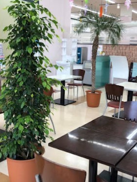 ガーデニング用品・資材・観葉...