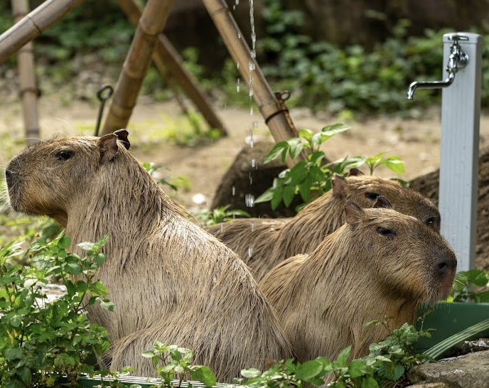 日帰りデートコース☆