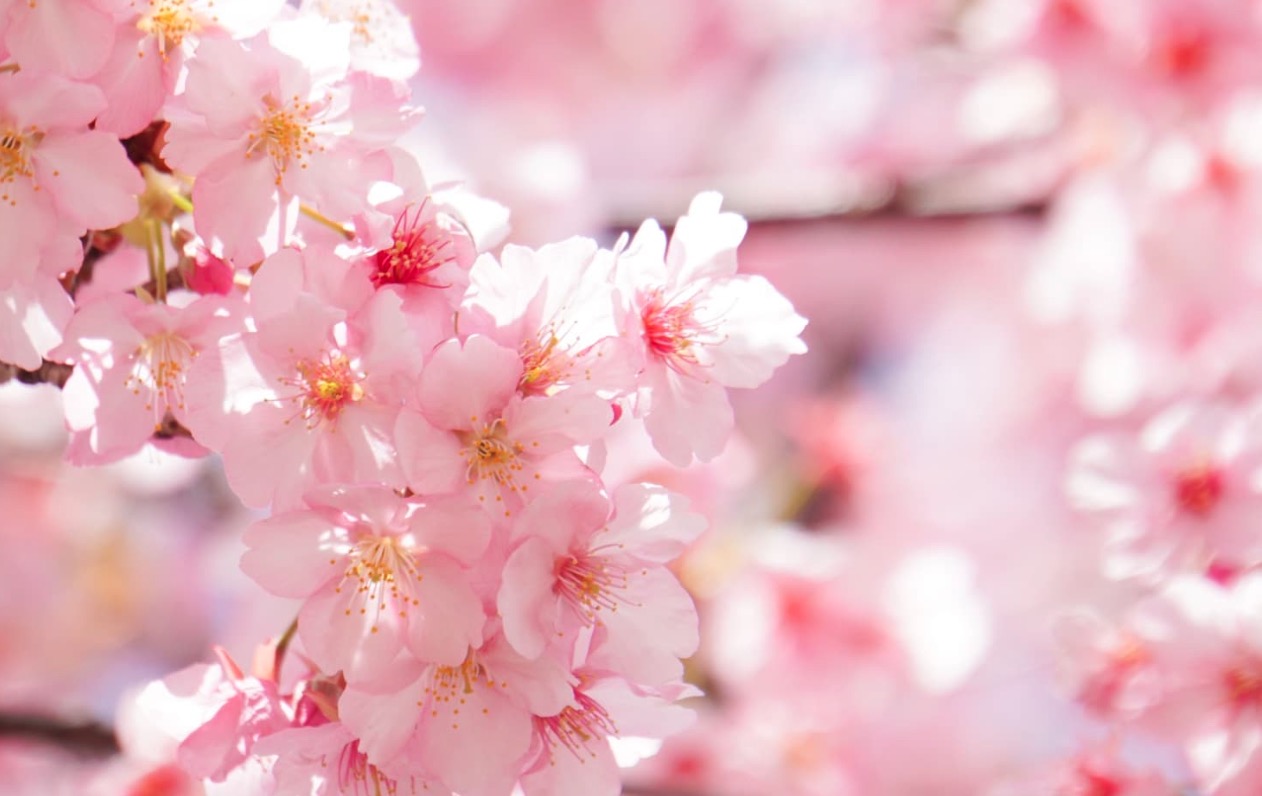 老人ホームや施設、介護全般について