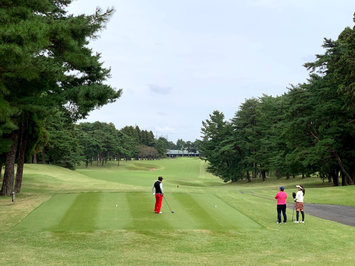スポーツ系サークル（場所・曜日・参加条件等…）