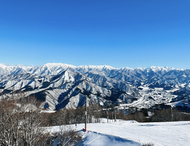 町の好きなところ（お得、便利、メリット…） 