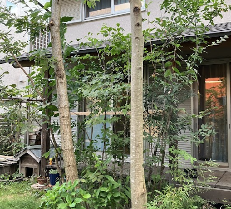 町の好きなところ（お得、便利...
