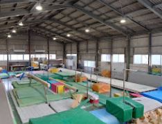 スポーツ系サークル（場所・曜日・参加条件等…）