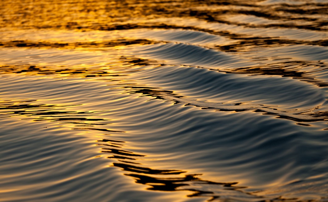 スポーツ系サークル（場所・曜日・参加条件等…）