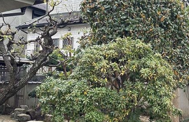 町の好きなところ（お得、便利...