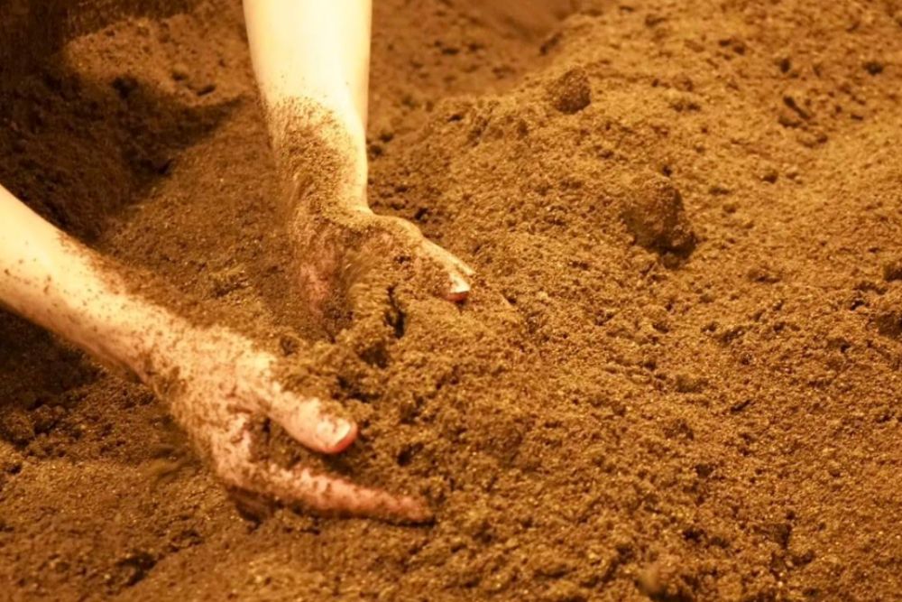 温泉・銭湯・健康ランド！ここがオススメ！！