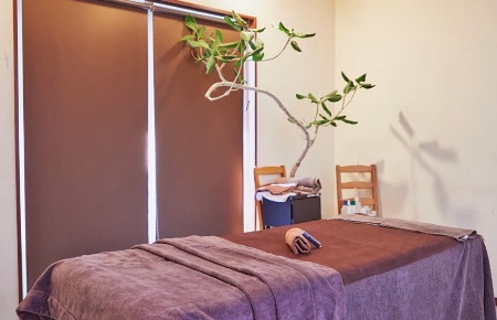 ボディケア・エステサロン（痩...