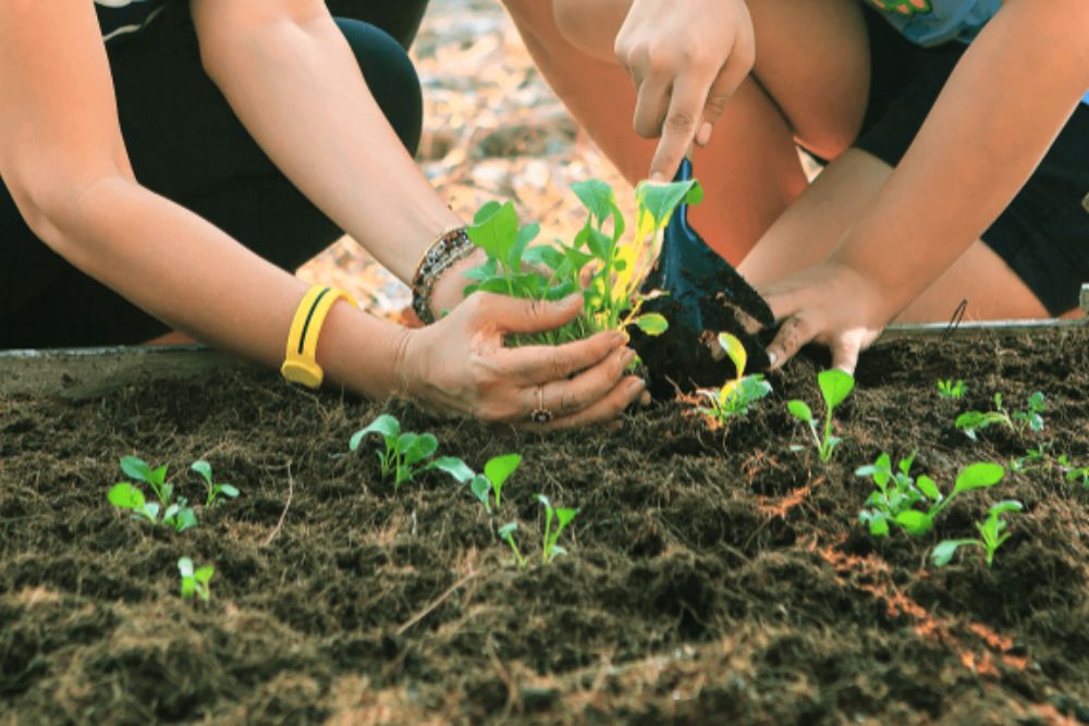 町の好きなところ（お得、便利...