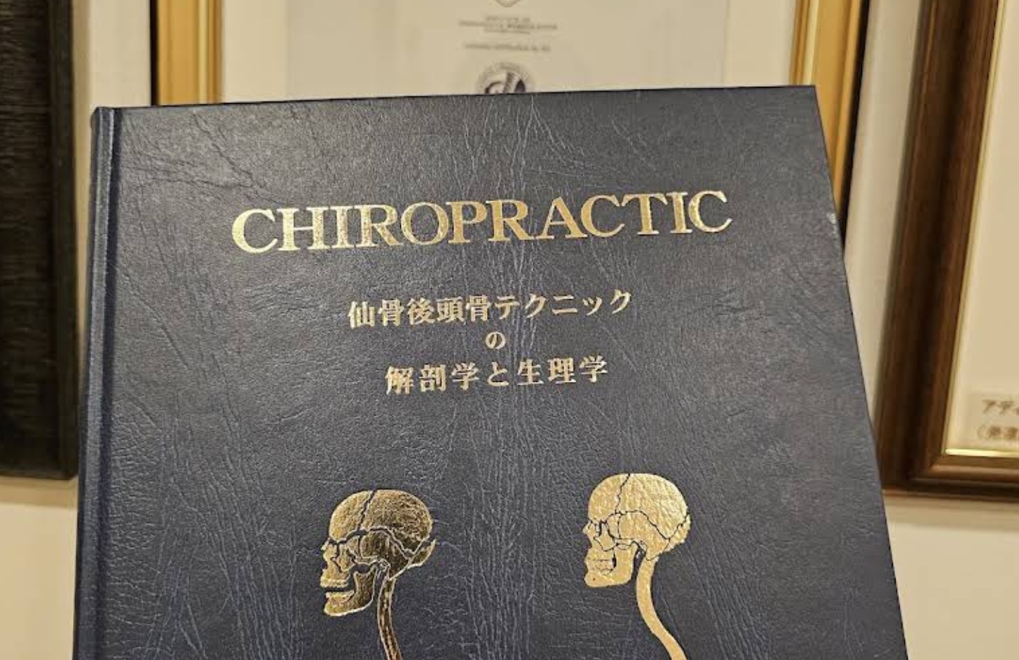 肩こり、腰痛などにオススメの...