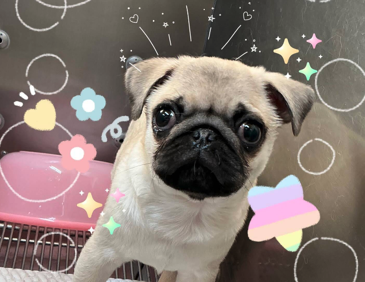 町の好きなところ（お得、便利...