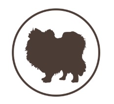 ペットショップ！オススメを教えて！