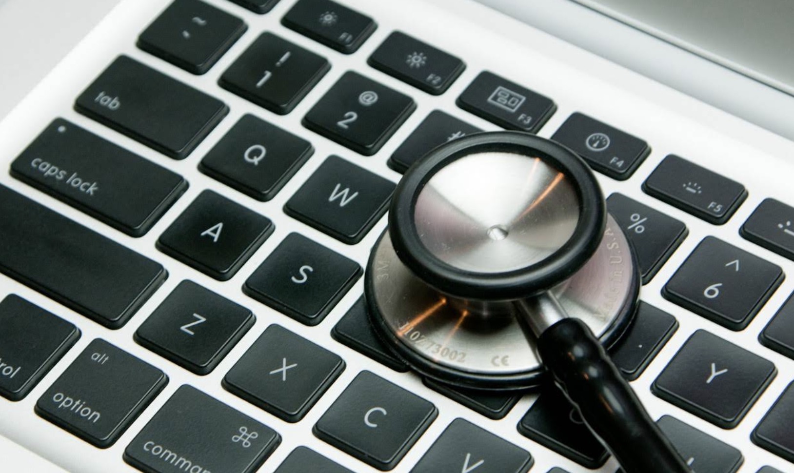 この辺りが一番住みやすい！