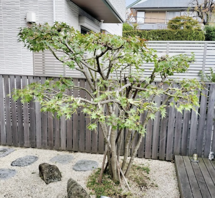 町の好きなところ（お得、便利、メリット…） 