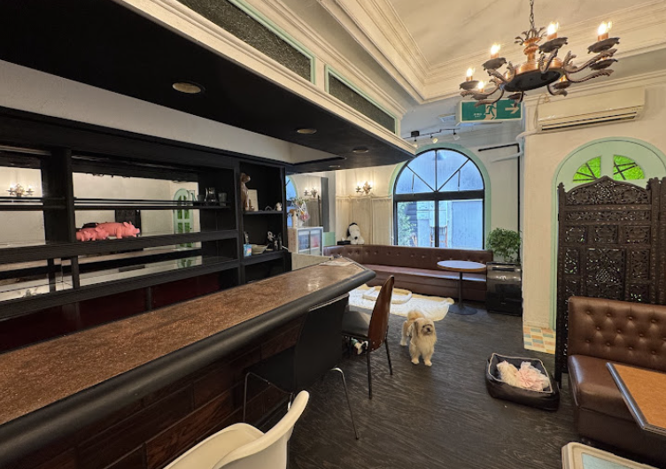 町の好きなところ（お得、便利、メリット…） 