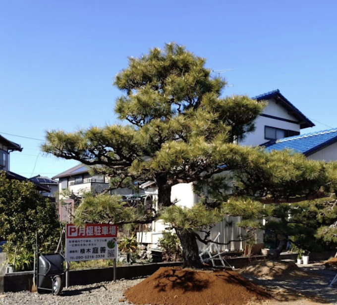町の好きなところ（お得、便利、メリット…） 