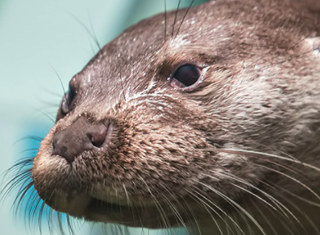 町の好きなところ（お得、便利、メリット…） 