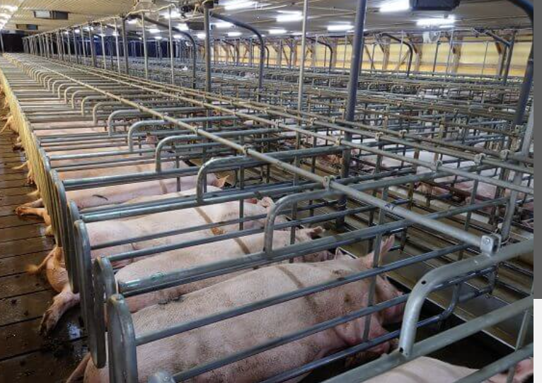 町の好きなところ（お得、便利、メリット…） 