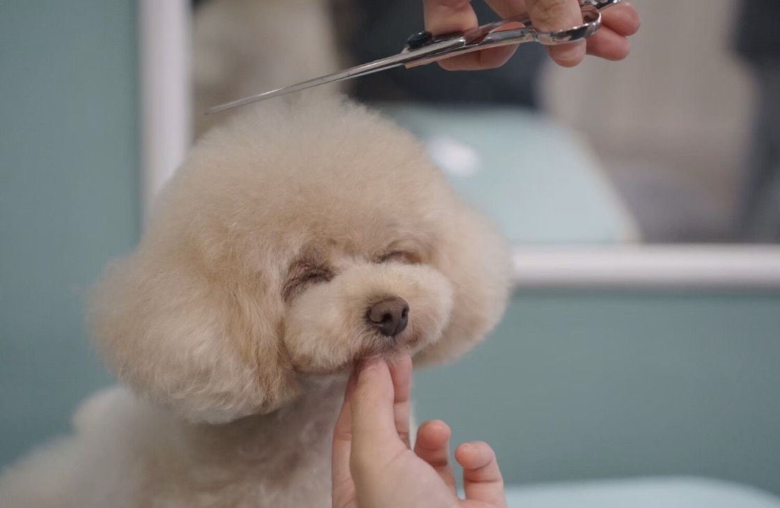 町の好きなところ（お得、便利、メリット…） 