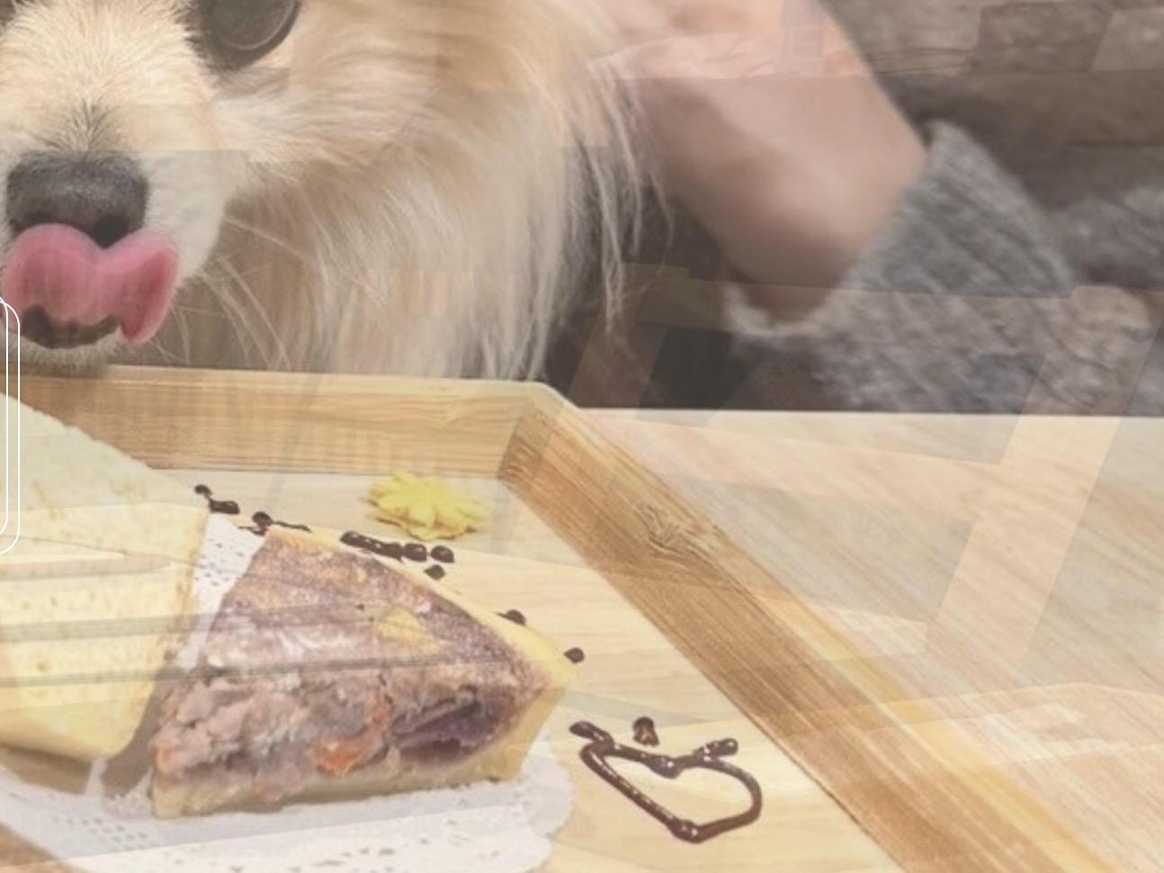 町の好きなところ（お得、便利、メリット…） 