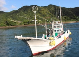 町の好きなところ（お得、便利、メリット…） 