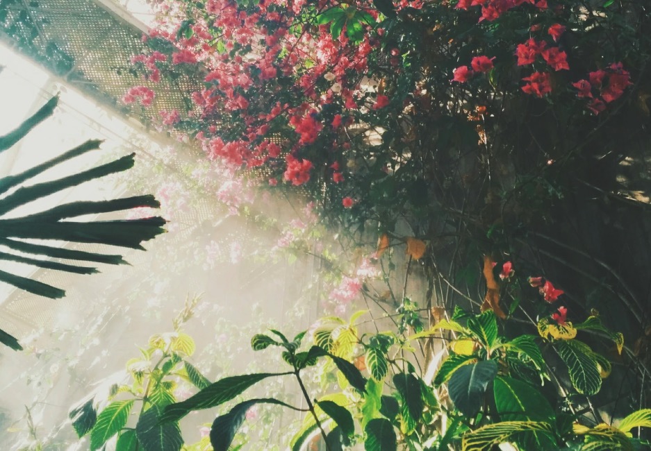 フェイシャル、メイク、ネイル...