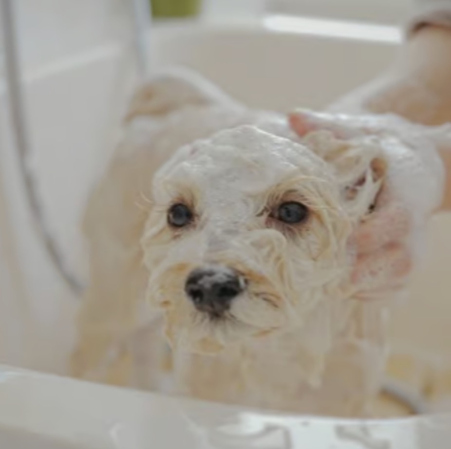 町の好きなところ（お得、便利...