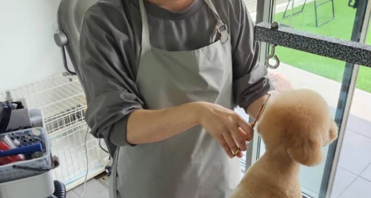 町の好きなところ（お得、便利、メリット…） 