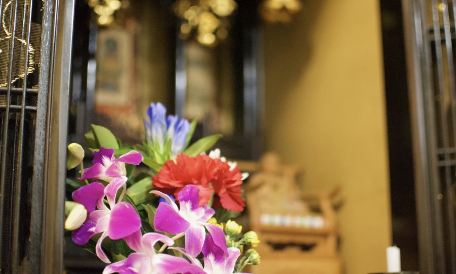 町の好きなところ（お得、便利、メリット…） 