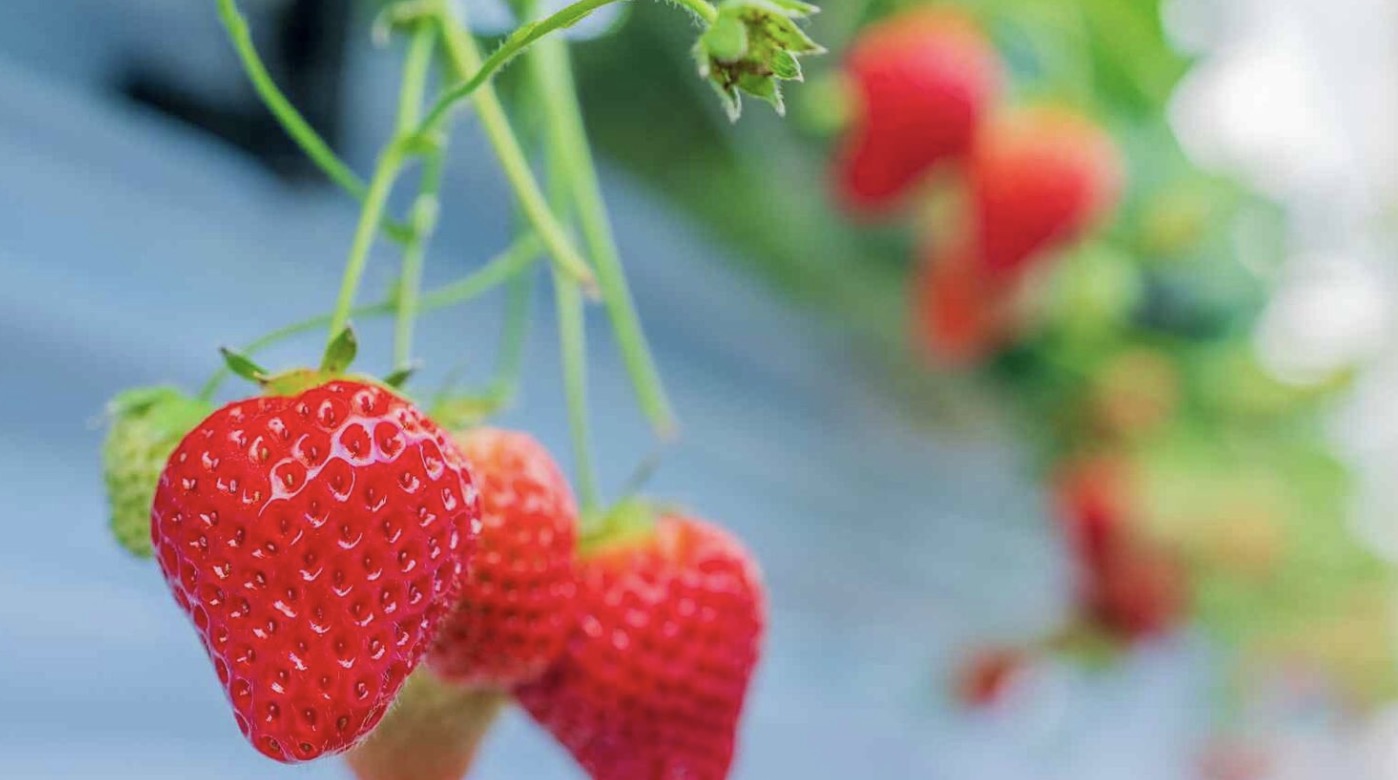 町の好きなところ（お得、便利、メリット…） 