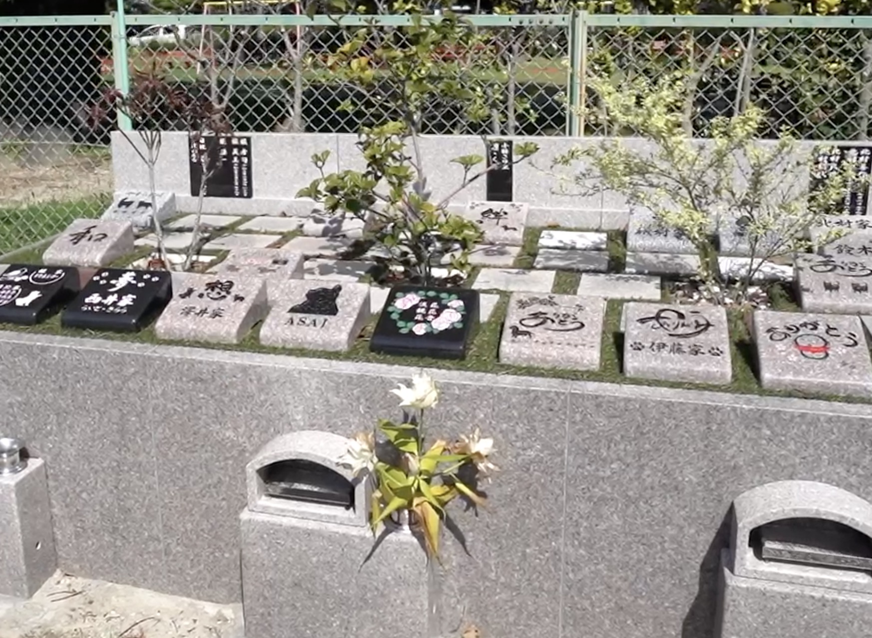 町の好きなところ（お得、便利、メリット…） 