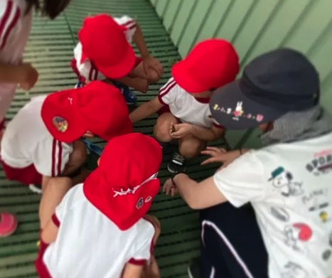 この辺りが一番住みやすい！