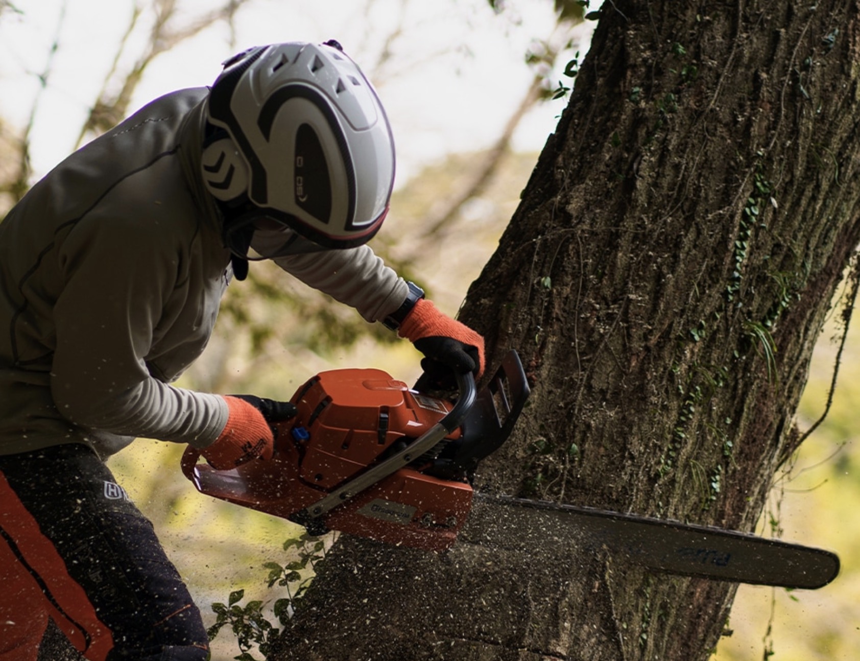 町の好きなところ（お得、便利...