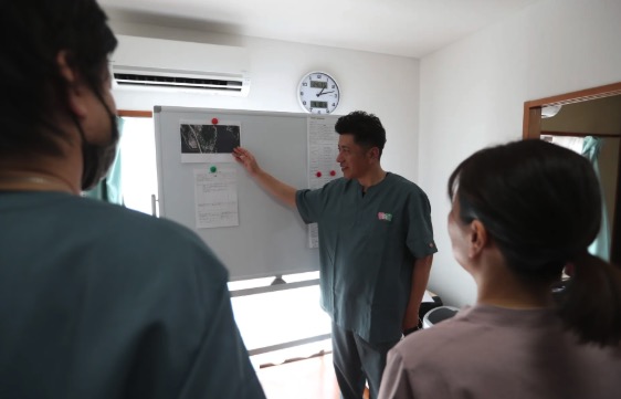 ホームヘルパー、デイホームサービスなど