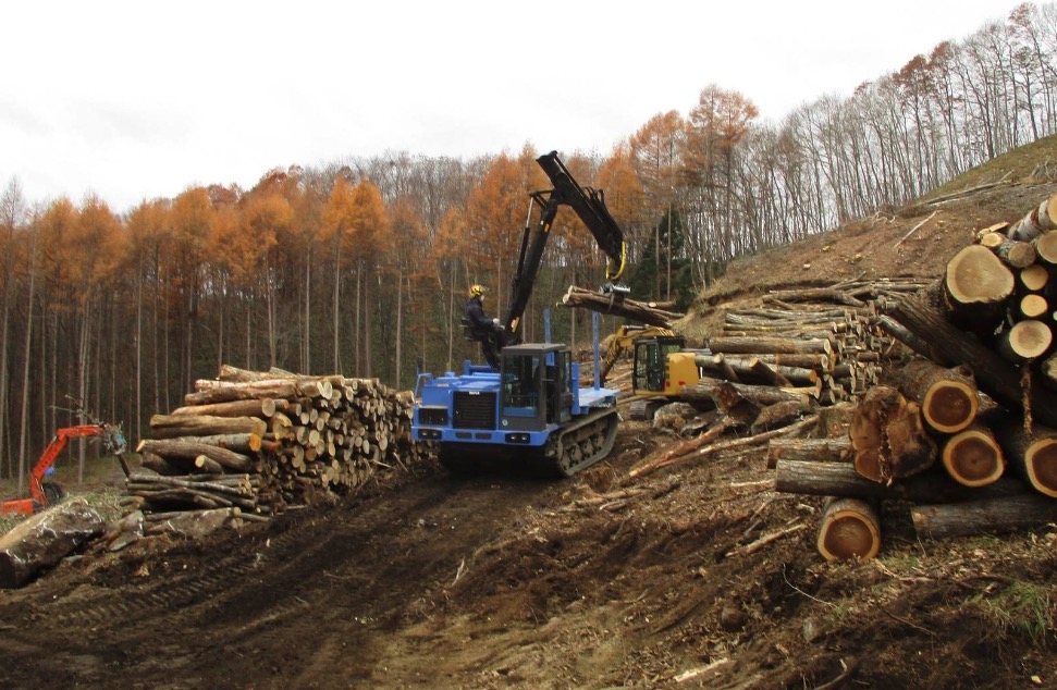 町の好きなところ（お得、便利、メリット…） 