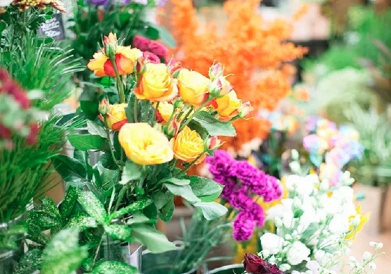 町の好きなところ（お得、便利、メリット…） 