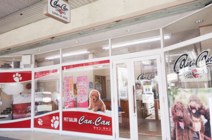 ペットと一緒に遠出する！オススメの場所