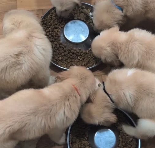 町の好きなところ（お得、便利...