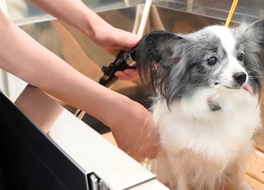 町の好きなところ（お得、便利、メリット…） 