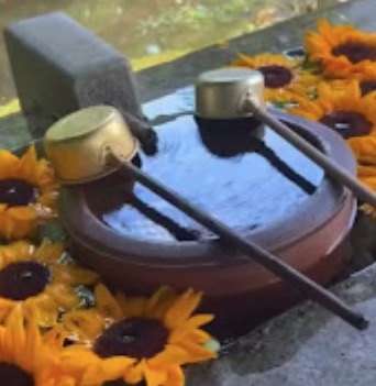 町の好きなところ（お得、便利、メリット…） 