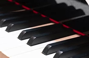 子供の習い事・お稽古、親子参加の行事等