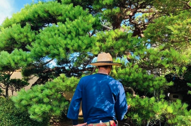 町の好きなところ（お得、便利...