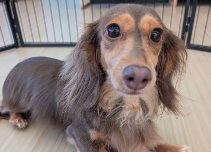 遊園地・動物園・水族館など