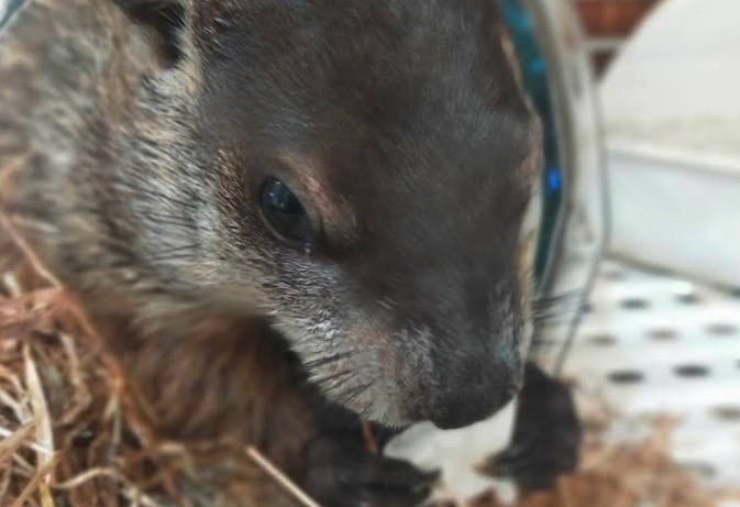 遊園地・動物園・水族館など