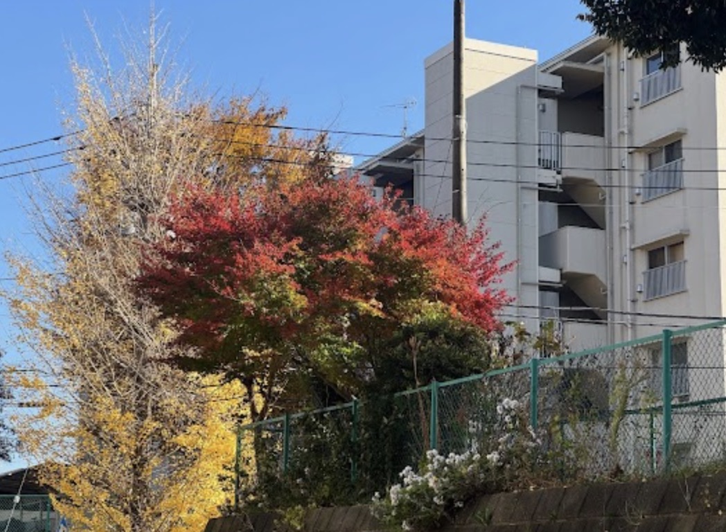 町の好きなところ（お得、便利...