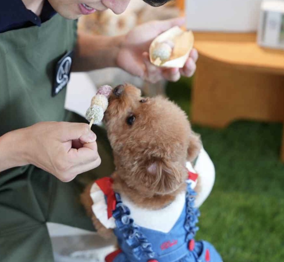 町の好きなところ（お得、便利、メリット…） 