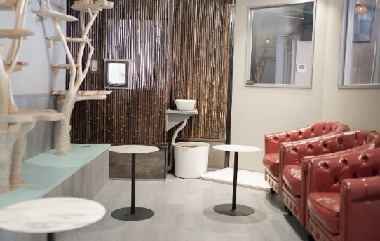 町の好きなところ（お得、便利、メリット…） 