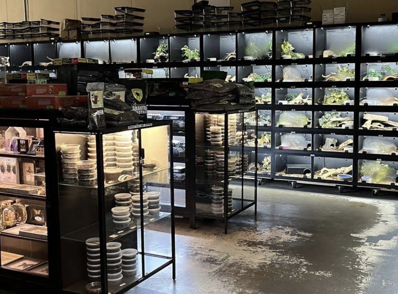 町の好きなところ（お得、便利、メリット…） 